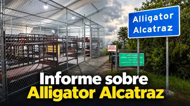 Imagen de Jaulas de 1,6 metros como "zonas de calma": el informe federal sobre Alligator Alcatraz