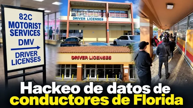 Imagen de Hackean las licencias de Florida: el estado confirma el ataque pero no dice a cuántos afectó